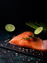 Raw salmon fillet with asparagus and rosemary, wild Atlantic fish