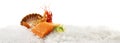 Raw Salmon Fillet Steak with Tiger Prawns, Gamba Carabinero and Shrimp on Ice isolated on white Background