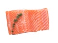 Raw salmon fillet on a white background. Trout fillet with rosemary. Wild atlantic fish