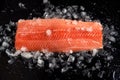 Raw salmon fillet whole on ice chipped over black background. Dietary nutrition. Red fish Royalty Free Stock Photo