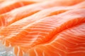 Close up of fresh raw salmon fish filet