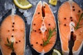 Raw salmon fish fillet and ice for cooked steak seafood - Close up fresh salmon steak with herbs and spices lemon rosemary on Royalty Free Stock Photo