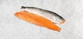 Raw Salmon Fish Fillets on Icei solated on white Background