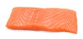 Raw Salmon Meat