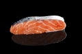 Raw salmon piece.