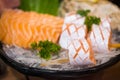 Raw salmon slice or salmon sashimi in Japanese style fresh serve on ice in bowl Royalty Free Stock Photo