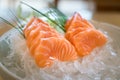 Raw salmon slice or salmon sashimi in Japanese style fresh serve on ice in bowl Royalty Free Stock Photo