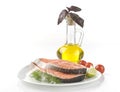 Raw salmon steak with herbs, vegetables Royalty Free Stock Photo