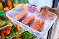 Raw Salmon steak in the open refrigerator Royalty Free Stock Photo