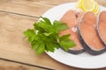 Raw salmon steak on white dish Royalty Free Stock Photo