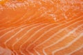 Raw salmon trout fish fillet texture closeup Royalty Free Stock Photo