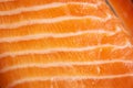 Raw salmon trout fish fillet texture closeup Royalty Free Stock Photo