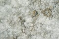 Raw salt texture Royalty Free Stock Photo