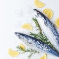 Raw sardines on a table with ice and lemon. View from above