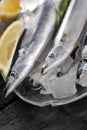 Raw saury on a glass dish in the form of fish with rosemary and lemon Royalty Free Stock Photo