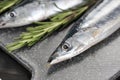 Raw saury with rosemary Royalty Free Stock Photo