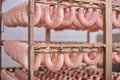 Raw sausages on racks in storage room at meat processing factory Royalty Free Stock Photo