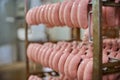 Raw sausages on racks in storage room at meat processing factory Royalty Free Stock Photo