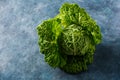 Raw savoy cabbage Royalty Free Stock Photo