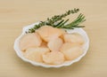 Raw scallops Royalty Free Stock Photo