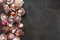 Raw scallops on slate stone background. Seafood, Shellfish, top view, flat lay Royalty Free Stock Photo