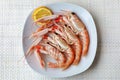 Raw scampi on the plate Royalty Free Stock Photo
