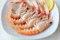 Raw scampi on the plate Royalty Free Stock Photo