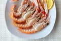 Raw scampi on the plate Royalty Free Stock Photo