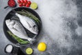 Raw sea bream or dorado raw fish on grill pan with ingredients on grey white textured background, top view with space for text