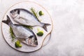 Raw sea bream fish Royalty Free Stock Photo