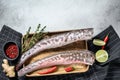 Raw sea eel fish with cooking ingredients. gray background. Top view. Copy space Royalty Free Stock Photo
