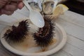 Raw sea urchin appetizer with lemon Royalty Free Stock Photo