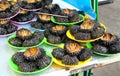 Raw sea urchin on market Royalty Free Stock Photo