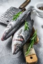 Raw seabass fish on a cutting board with spices, herbs. White background. Top view Royalty Free Stock Photo