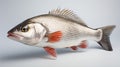 Raw seabass. One fresh sea bass fish isolated on white background with clipping path. generative ai Royalty Free Stock Photo