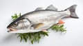 Raw seabass. One fresh sea bass fish isolated on white background with clipping path. generative ai Royalty Free Stock Photo