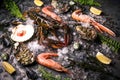 Raw Seafood: lobster, shrimp, and oysters Royalty Free Stock Photo