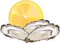 Raw seafood open oysters
