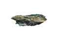 Raw serpentine mineral in metamorphic rock isolated on white background. Serpentinite rock.