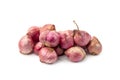 Raw Shallot onion Allium ascalonicum isolated on white background Royalty Free Stock Photo