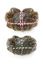 Raw shanghai hairy crabs(male and female)