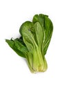 Raw Shanghai Pak Choi chinese cabbage vegetable on white background