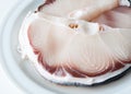 Raw shark fillet