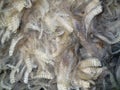 Raw Sheared Sheep Wool Royalty Free Stock Photo