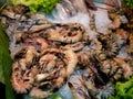 Raw shrimp lying in ice Royalty Free Stock Photo
