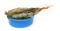 Raw Shrimp on a plastic bowl Royalty Free Stock Photo