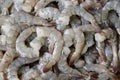 Raw shrimp prepare for cooking