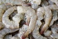 Raw Shrimp prepare for cooking