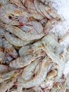 Raw shrimp Royalty Free Stock Photo