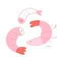 Raw shrimps isolated, doodle vector illustrations, prawn sea food, without head, cute hand drawn cartoon style, fresh